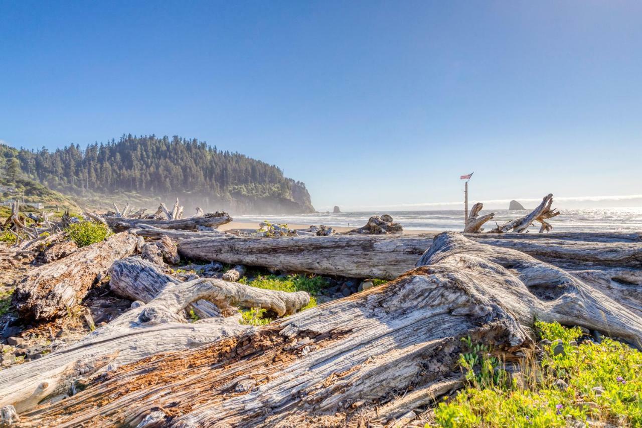 Cape Meares Overlook 外观 照片